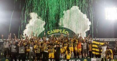 Volta Redonda em festa: Voltaço conquista a Série C do brasileirão e faz história