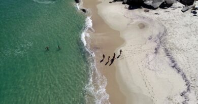 Foto Leonardo Simplício