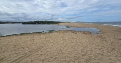 Foto: Matheus Miller