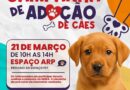 Nova Friburgo promove campanha de adoção de cães com exigência de vacinação