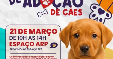 Nova Friburgo promove campanha de adoção de cães com exigência de vacinação