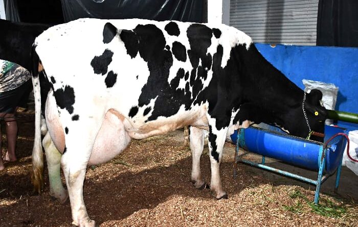 Foto: Raimundo Brasil