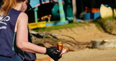 Mutirão na Ilha Grande recolhe lixo do mar e reforça conscientização ambiental