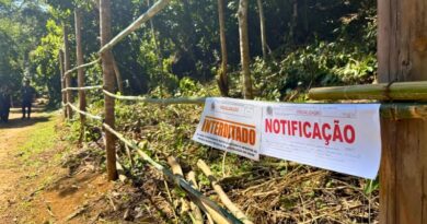 Fiscalização ambiental interdita obras irregulares e loteamento clandestino em Ilha Grande