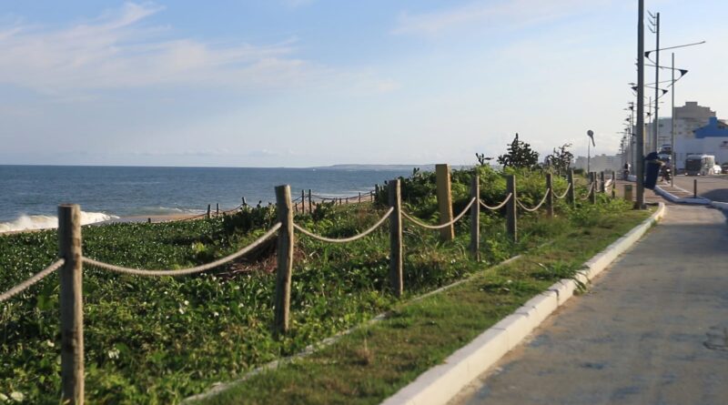 Projeto inicia recuperação da vegetação de restinga na Praia do Pecado