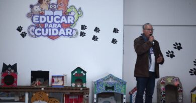 Papelão vira solidariedade: alunos de Nova Iguaçu transformam recicláveis em apoio à causa animal