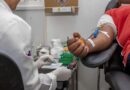 Hemocentro de Macaé faz apelo por doações diante de estoque crítico de sangue