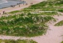 Cabo Frio é recomendado para certificação Bandeira Azul em duas praias na temporada 2026/2027