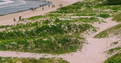Cabo Frio é recomendado para certificação Bandeira Azul em duas praias na temporada 2026/2027