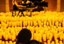 Unifase reúne exposição gratuita e concertos Candlelight em programação cultural de julho