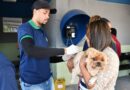 Resende realiza nova etapa de vacinação antirrábica para cães e gatos