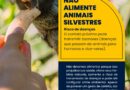 Paraty alerta moradores e turistas sobre riscos de alimentar e se aproximar de animais silvestres