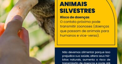 Paraty alerta moradores e turistas sobre riscos de alimentar e se aproximar de animais silvestres