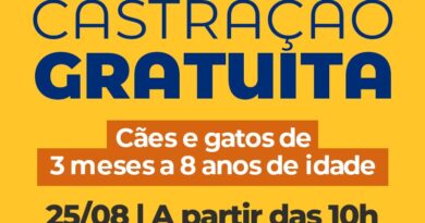 Angra dos Reis abre inscrições para castração gratuita de cães e gatos em setembro