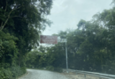 Nicole-Rodrigues-Sou-Petropolis