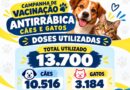 Valença aplica 13,7 mil doses de vacina antirrábica em cães e gatos